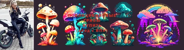 не бодяженный Белокуриха