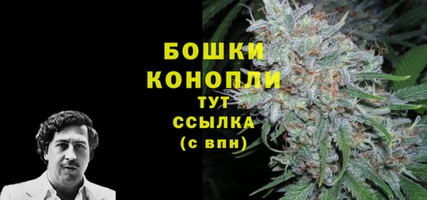 не бодяженный Белокуриха